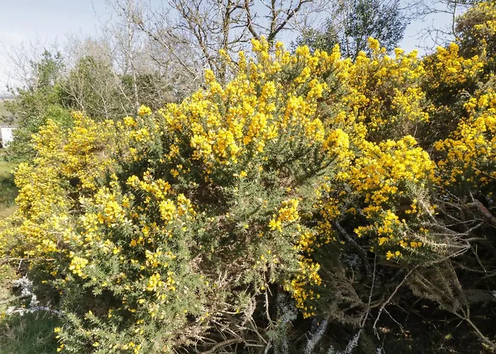 Rambler's Rest Nyaraló
